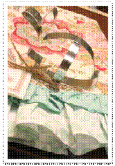 clip_image006