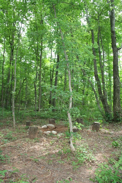 [IMG_3139[7].jpg]