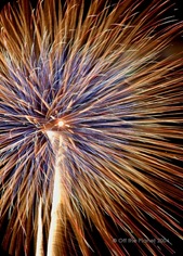 6a00d83451612a69e200e54f30ea278833-640wi