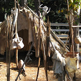 IMG_3831.JPG