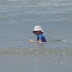 IMG_8529.JPG