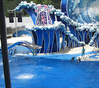 IMG_8805.JPG