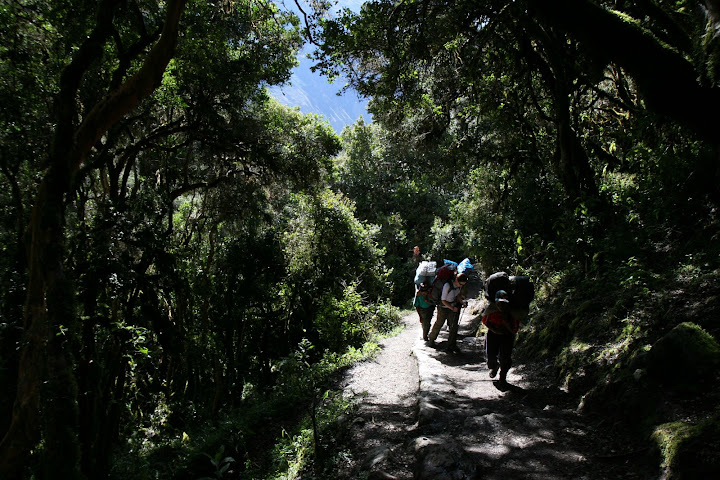 Ветер в кактусах: отчет о поездке Перу - Боливия