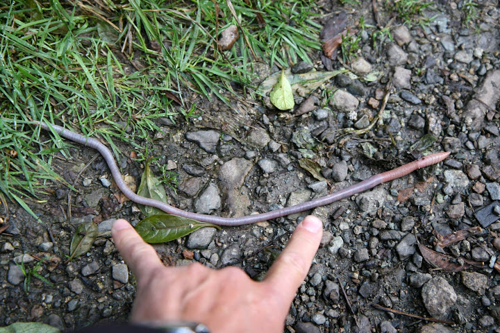 Ветер в кактусах: отчет о поездке Перу - Боливия
