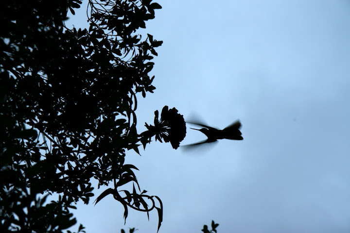 Ветер в кактусах: отчет о поездке Перу - Боливия