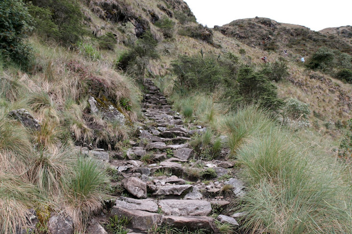 Ветер в кактусах: отчет о поездке Перу - Боливия