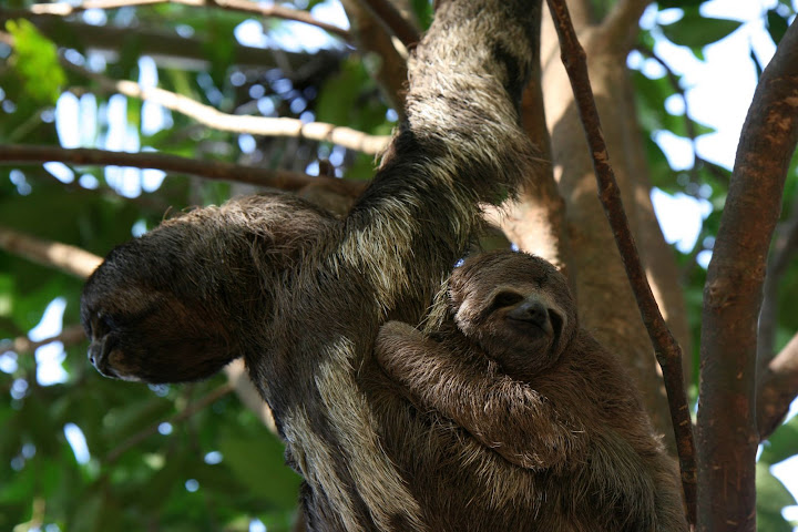 Ветер в кактусах: отчет о поездке Перу - Боливия