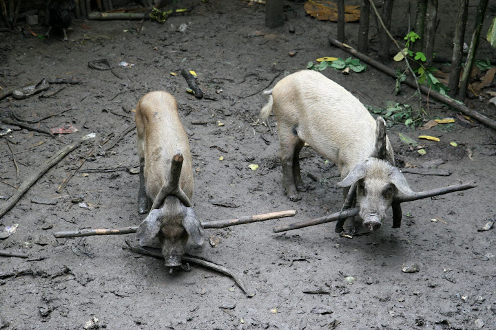 Ветер в кактусах: отчет о поездке Перу - Боливия