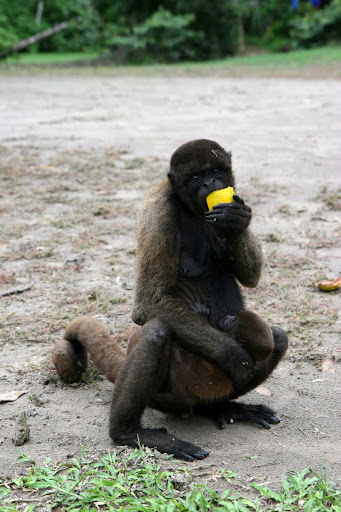 Ветер в кактусах: отчет о поездке Перу - Боливия