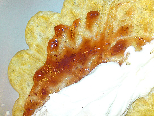 [DSC00904[1][9].jpg]