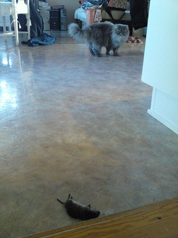 [DSC00852[1][8].jpg]