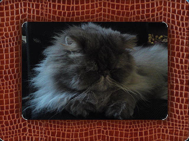 [DSC00972[1][4].jpg]