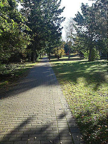 [DSC00988[1][5].jpg]