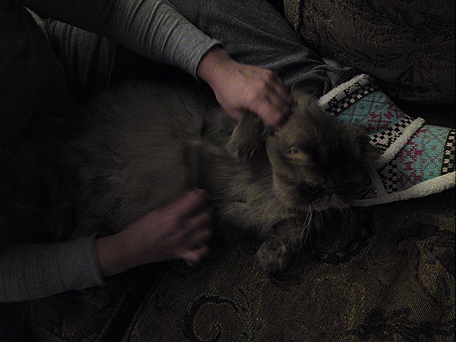 [DSC01078[1][13].jpg]