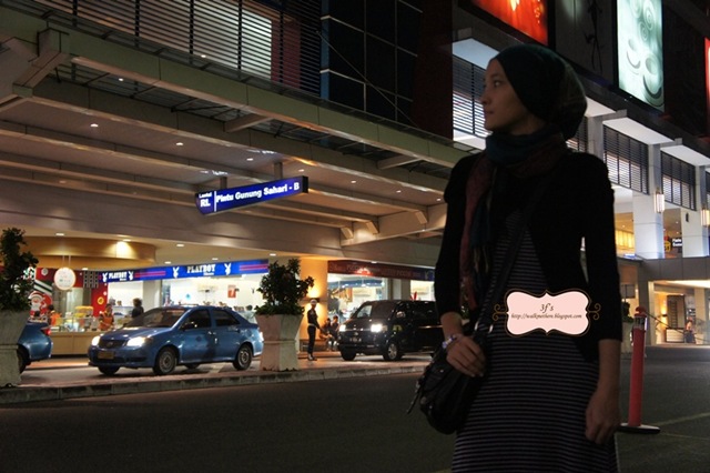 [Jakarta 10 065[4].jpg]