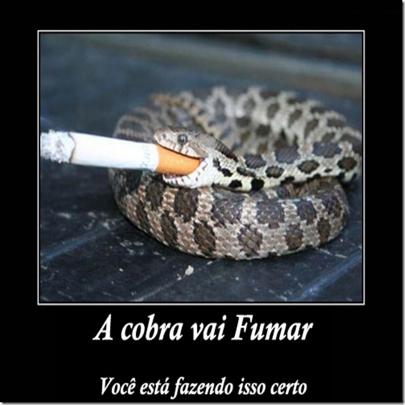 smoking-is-cool-funny