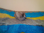04112009151.jpg
