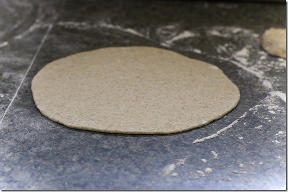 pita-9 pita-9