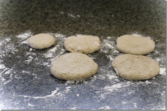 pita-6 pita-6