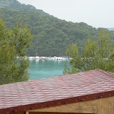 Olina 620.JPG