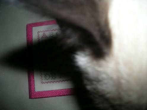 http://lh3.ggpht.com/_Af2NJS5Y8NA/S1H7IVVgdLI/AAAAAAAAAYA/aGGC7ALnjpk/DSCN2404.jpg