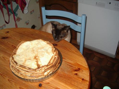 http://lh3.ggpht.com/_Af2NJS5Y8NA/S1I4TAY0jGI/AAAAAAAABe4/5hXcF8IAaS0/imgp1882.jpg
