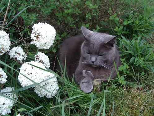 http://lh3.ggpht.com/_Af2NJS5Y8NA/S1I4cjJ6PXI/AAAAAAAABfw/PX9f0qDY5S0/imgp2165.jpg