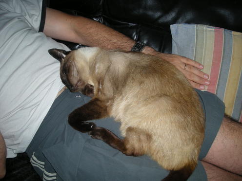 http://lh3.ggpht.com/_Af2NJS5Y8NA/S1I5D_ex8qI/AAAAAAAABj0/gA9uGBNcin8/DSCN1060.jpg
