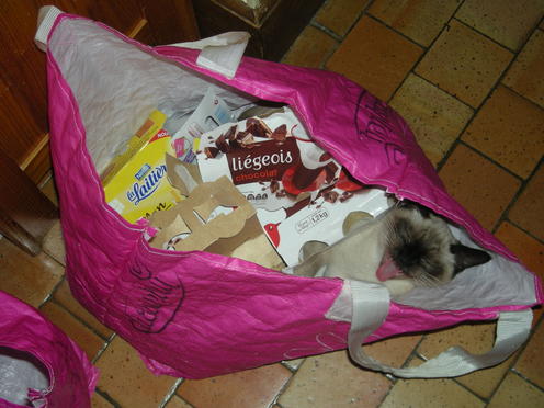 http://lh3.ggpht.com/_Af2NJS5Y8NA/S1I7JEzAXmI/AAAAAAAABvg/NpNvBSXjZII/DSCN1947.jpg