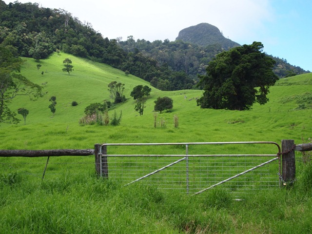 [field[2].jpg]