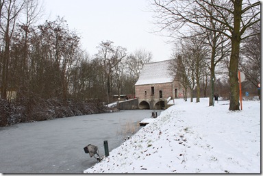 IMG_8035 IMG_8035
