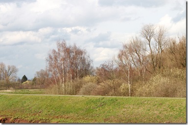 IMG_9406 IMG_9406
