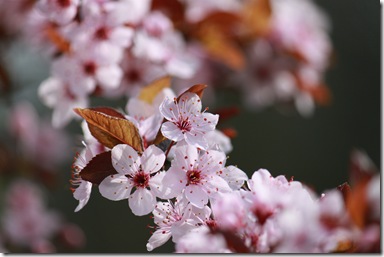 IMG_0073 IMG_0073