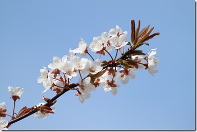 IMG_0084 IMG_0084