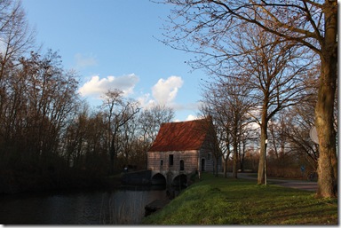 IMG_9631 IMG_9631