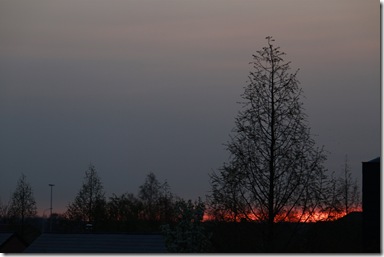 IMG_2206 IMG_2206