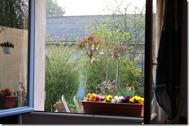 IMG_1541 IMG_1541