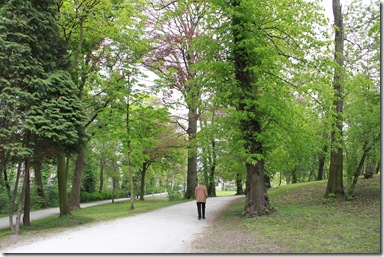 IMG_2515 IMG_2515