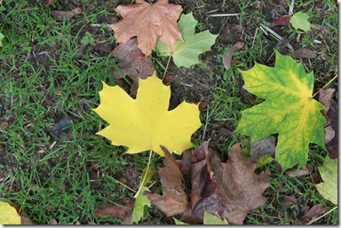 IMG_3570 IMG_3570