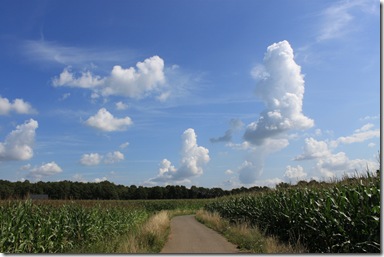 IMG_7144 IMG_7144