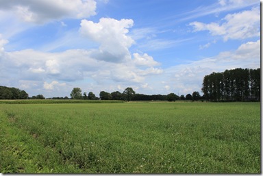 IMG_7207 IMG_7207