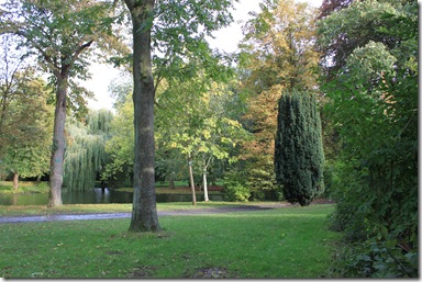 IMG_2749 IMG_2749