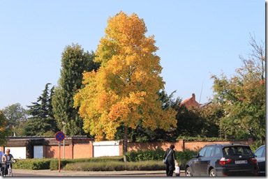 IMG_2840 IMG_2840