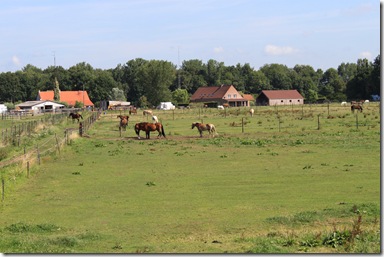 IMG_7093 IMG_7093