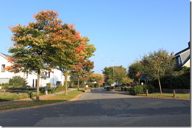 IMG_3012 IMG_3012