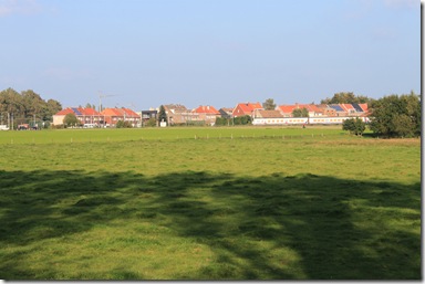 IMG_2954 IMG_2954