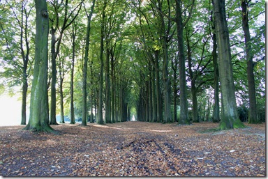 IMG_2964 IMG_2964