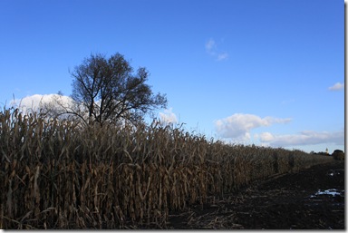IMG_3944 IMG_3944