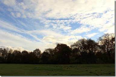 IMG_4670 IMG_4670