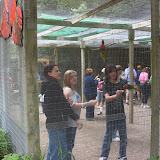 SL380145.JPG